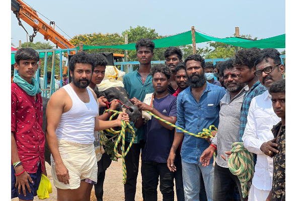 ஜல்லிக்கட்டுக்கு தயாரான சூர்யா ! நடிகர் சூரி வெளியிட்ட புகைப்படங்கள்... | Vaadivasal Test Shoot Soori Visit