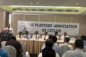 தோட்டத் தொழிலாளர்களின் சம்பள உயர்வு : எதிர்ப்பு வெளியிட்டுள்ள முதலாளிமார் சம்மேளனம்