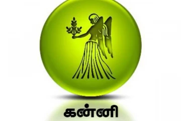 நீங்கள் கன்னி லக்னத்தில் பிறந்தவர்களா? வாழ்க்கையின் முழு பலனை தெரிந்து கொள்ளுங்கள்