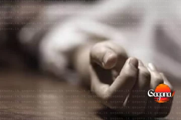 ශ්‍රී ලාංකික කාන්තාවක් ඉන්දියාවේ හෝටලයකදී ජීවිතක්ෂයට