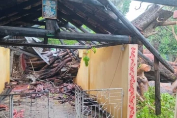 யாழ். நவாலியில் 250 ஆண்டுகள் பழமையான அரசமரத்திற்கு ஏற்பட்ட நிலை!