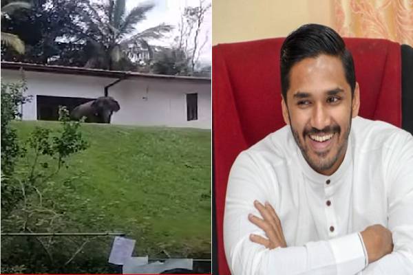 ஜனாதிபதியின்  உறவினரது வீட்டை முற்றுகையிட்ட ஆர்ப்பாட்டகாரர்கள்:வீட்டில் இருந்த விலங்கு - ஐபிசி தமிழ்