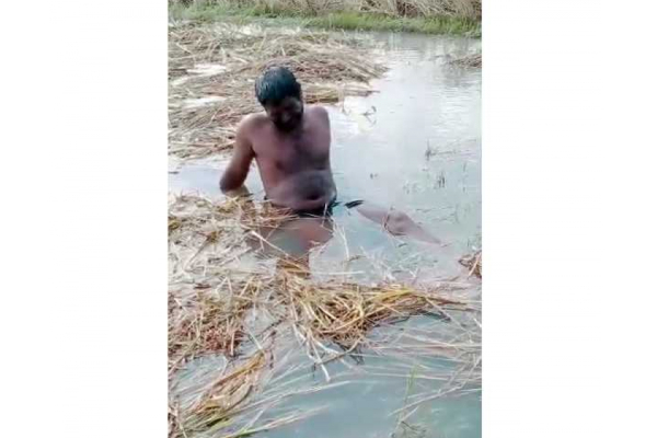 மழைநீரில் மூழ்கிய பயிர்கள் : கண்ணீர் விட்டு கதறி அழுத விவசாயி | Rain Crying Farmer மழைநீரில் மூழ்கிய பயிர்கள் : கண்ணீர் விட்டு கதறி அழுத விவசாயி | Rain Crying Farmer