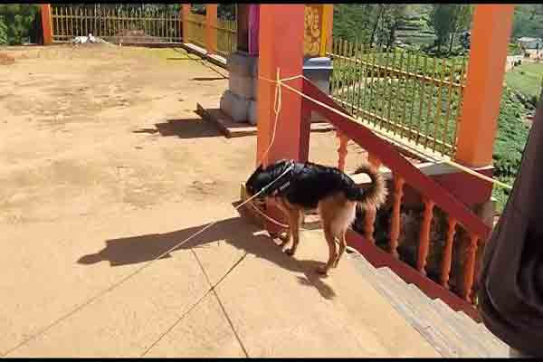 ஆலயம் உடைக்கப்பட்டு கொள்ளை | Temple Was Broken Into And Looted