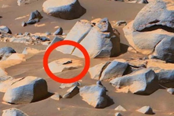 செவ்வாய் கிரகத்தில் ஏலியனா? காணொளியில் சிக்கிய உருவம்