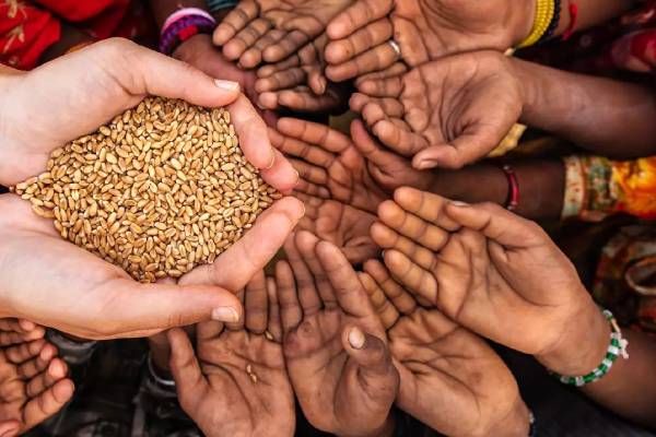 ஆடி அமாவாசை அன்று எந்த ராசியினர் எந்த பொருளை தானம் வழங்க வேண்டும்? | Aadi Amavasai 12 Zodiac To Remove Pithru Dosham