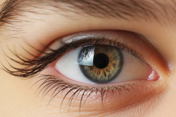 தொடர்ந்து 2 வாரம் முட்டை சாப்பிடுவதால் உடலுக்குள் என்னென்ன அற்புதங்கள் நடக்கும் தெரியுமா? | The Miracles That Come From Eating Eggs For Body தொடர்ந்து 2 வாரம் முட்டை சாப்பிடுவதால் உடலுக்குள் என்னென்ன அற்புதங்கள் நடக்கும் தெரியுமா? | The Miracles That Come From Eating Eggs For Body