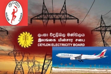 அரசின் 55 நிறுவனங்கள் தொடர்பில் வெளிவந்த அதிர்ச்சி தகவல்