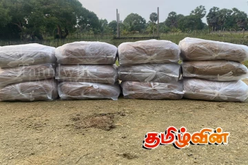 பளையில் பெருமளவான கஞ்சாவுடன் சந்தேகநபர்கள் இருவர் கைது