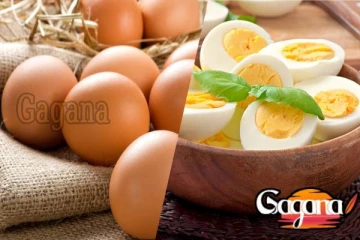 බිත්තරයටත් වැට් ගහන්න යනවා - බිත්තර නිෂ්පාදකයෝ