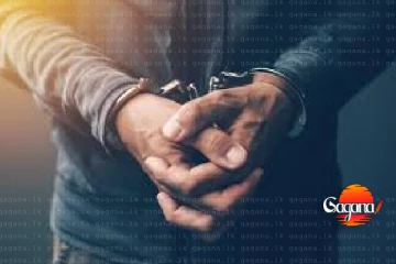 හුංගම දී ගිනිඅවි සමග අත්අඩංගුවට ගත් සැකකරුගේ පැටිකිරිය එළියට