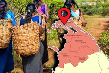 யாழில் மலையகத்தை உணர்வோம்: மலையகம் -200 விசேட நிகழ்வுகளுக்கு ஏற்பாடு