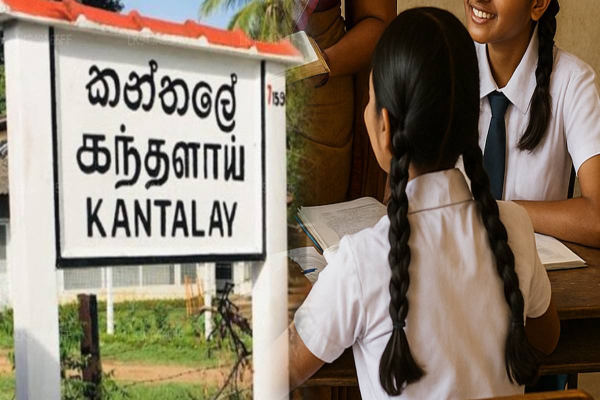 உணவு ஒவ்வாமையினால் 16 மாணவர்கள் வைத்தியசாலையில் அனுமதி - பாடசாலை நிர்வாகம் மீதான விசாரணை தீவிரம் | 16 Students Hospitalized Due To Food Allergies