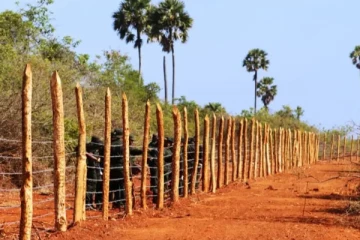 யாழ்ப்பாணம், கிளிநொச்சி மாவட்டங்களில் விரைவில் காணிகள் விடுவிப்பு