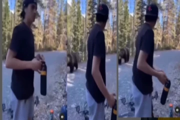 சாலையில் திடீரென வந்த கரடி - பதறிய இளைஞர்கள் - வைரலாகும் வீடியோ