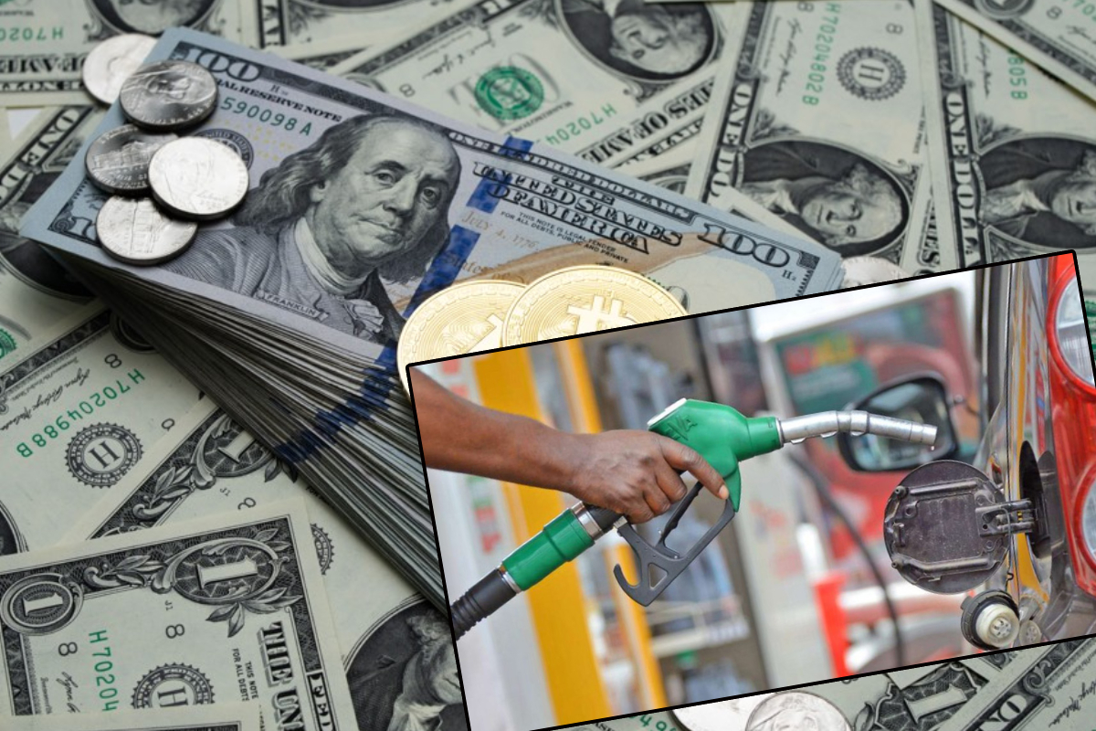 இலங்கையின் எரிபொருள்களின் சந்தையின் எதிர்கால மாற்றம்! | Fuel Prices To Change Weekly From May