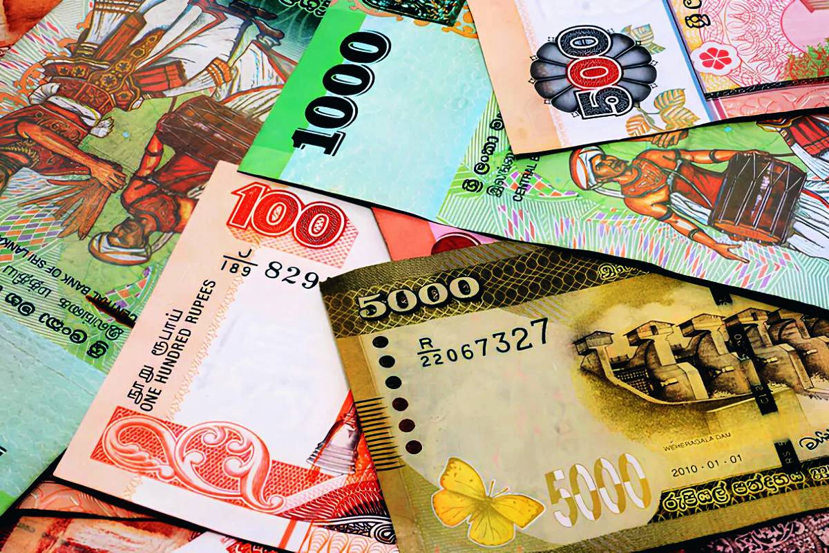 அநுர ஆட்சியில் கடன் சுமை அதிகரிப்பு...! வெளியான அறிக்கை | Domestic Foreign Debt Has Increased In Sri Lanka அநுர ஆட்சியில் கடன் சுமை அதிகரிப்பு...! வெளியான அறிக்கை | Domestic Foreign Debt Has Increased In Sri Lanka