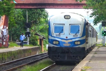 முல்லைத்தீவில் தொடருந்தில் மோதி யானை உயிரிழப்பு