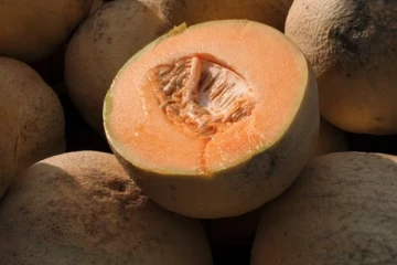 கிர்ணி பழத்தில் பயங்கர நோய்க்கிருமிகள்: கனடாவில் 19 பேர் பாதிப்பு