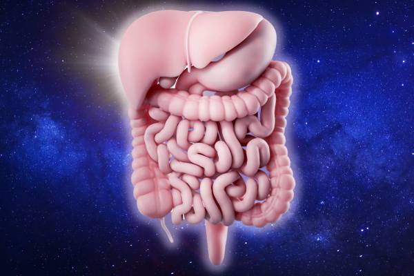 தேன் சாப்பிடுவதன் விளைவுகள் என்ன? உட்கொள்ள சரியான வழி எது? | Effects Of Eating Honey What Correct Way To Eat