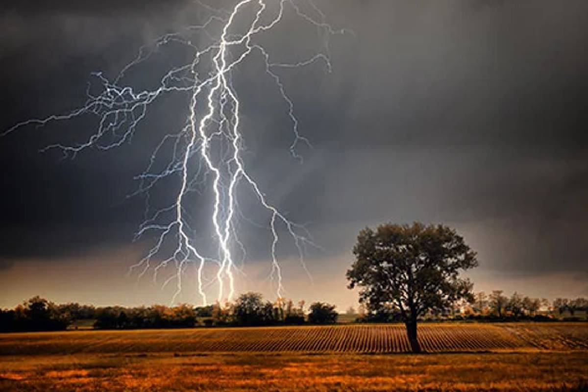 நாட்டை சூழும் கனமழை ; மின்னல், பலத்த காற்றுக்கு எச்சரிக்கை | Heavy Rains Hit The Country Warning Strong Winds