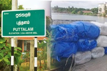 புத்தளத்தில் பெருந்தொகையான பீடி இலைகள் மீட்பு