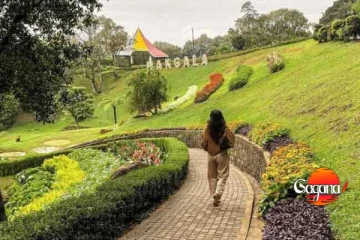 හග්ගල ජාතික උද්භිද උද්‍යානය ගැන අසුබ ආරංචියක්