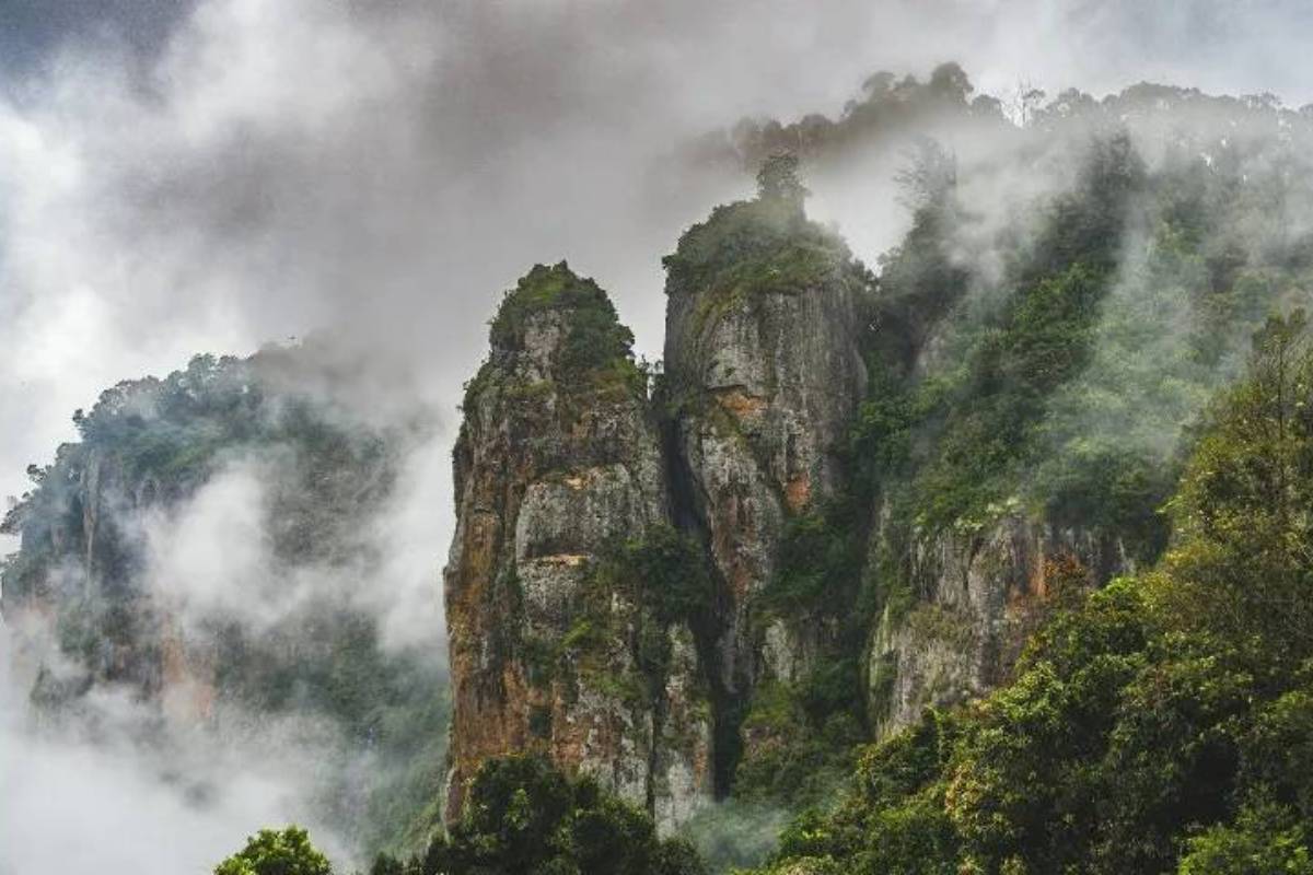 தமிழகத்தின் மிகப்பெரிய மாவட்டம்.., எது தெரியுமா? | Which Is The Largest District In Tamil Nadu