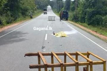 නගරයක් බිය වද්දමින්, පුද්ගලයෙකුගේ මළ සිරුරක් මහ පාර මැද