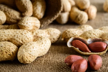 தினமும் ஒரு கைப்பிடி அளவு வேர்க்கடலை சாப்பிடுங்க.. பல நன்மைகள் உங்களை வந்து சேரும்