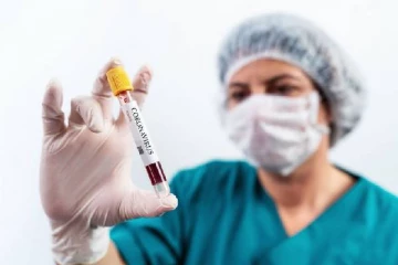 வத்தளையில் இரும்பு தயாரிப்பு தொழிற்சாலையில் நூற்றுக்கு மேற்பட்டவர்களுக்கு கொரோனா
