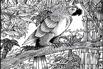 optical illusion: படத்தில் இருக்கும் பூனையை கண்டுபிடிக்க முடியுமா?