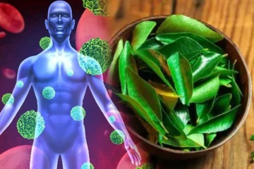 புற்றுநோயை விரட்ட வேண்டுமா? இந்த ஒரு பச்சை இலையே போதும்! இப்படி யூஸ் பண்ணி பாருங்க