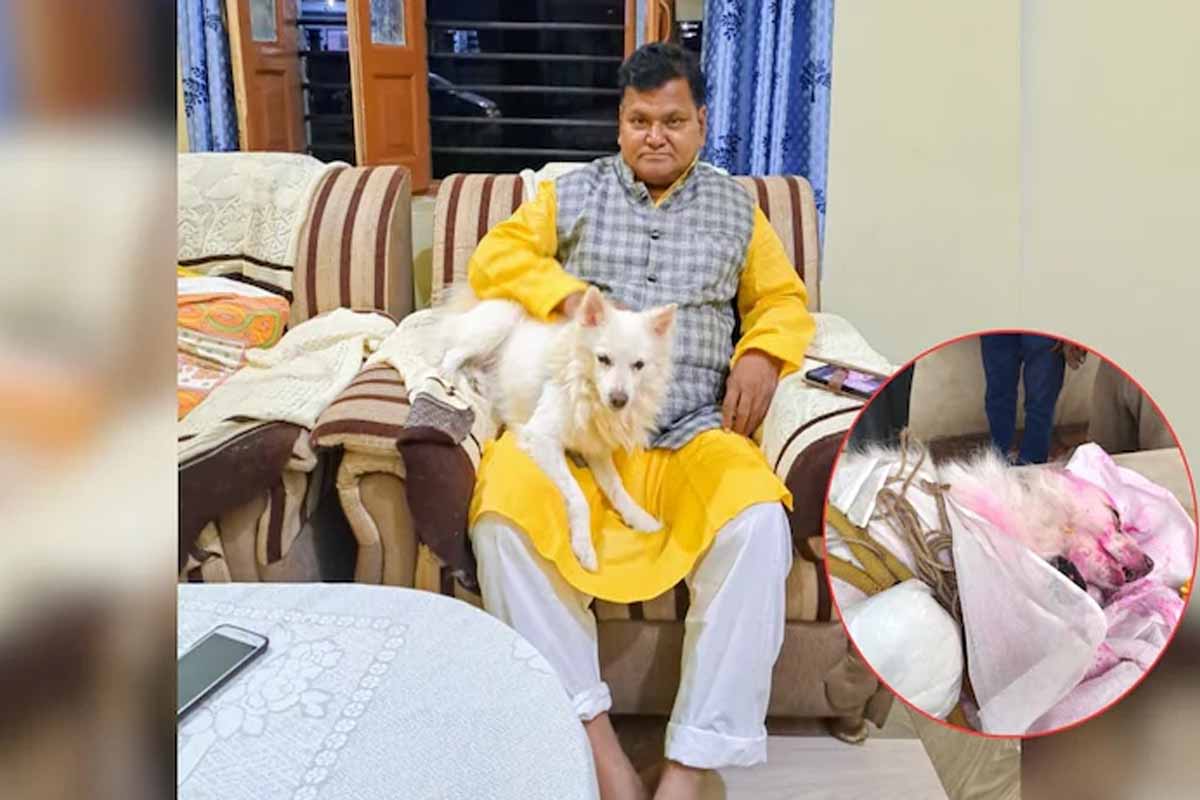 எஜமான் இறுதி ஊர்வலம்: சோகத்தில் உயிரைவிட்ட செல்ல நாய் | Pet Dog Dies During Owner Funeral Procession எஜமான் இறுதி ஊர்வலம்: சோகத்தில் உயிரைவிட்ட செல்ல நாய் | Pet Dog Dies During Owner Funeral Procession