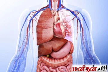 இதயத்துடிப்பு முதல் ரத்த அழுத்தம் வரை... நமது உடம்பில் எந்த அளவு இருக்கனும்னு தெரியுமா?