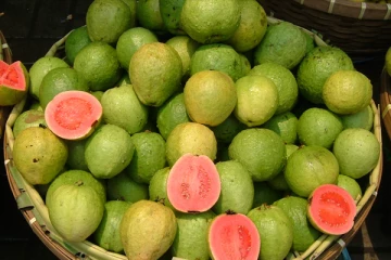 கொய்யாப்பழம் சாப்பிடுவதால் ஏற்படும் மருத்துவ நன்மைகள்!