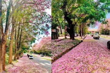 வெளிநாடு போன்று காட்சியளிக்கும் கண்டி!