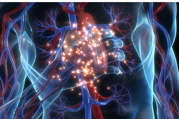 திடீரென்று உயிரை பறிக்கும் மாரடைப்பு! ஆபத்தை தடுக்க என்ன செய்ய வேண்டும்? | Heart Attack
