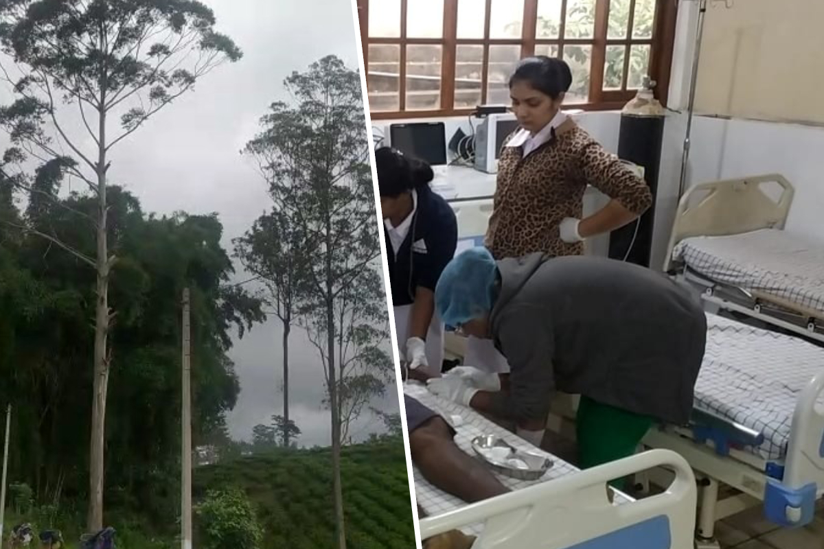யூகலிப்டஸ் மரத்திலிருந்து தவறி விழுந்தவர் உயிரிழப்பு | One Person Died After Falling From A Tree யூகலிப்டஸ் மரத்திலிருந்து தவறி விழுந்தவர் உயிரிழப்பு | One Person Died After Falling From A Tree