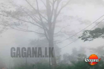 මධ්‍යම කඳුකරයේ රිය පදවන්ට විශේෂ නිවේදනයක්