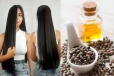 முடி உதிர்வை தடுத்து முழங்கால் வரை வளர்க்க இந்த ஒரு எண்ணெய் போதும்