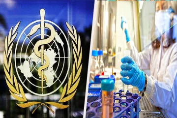 எபோலா தொற்று உருவான குகை: புதிய பெருந்தொற்று தொடர்பில் நிபுணர்கள் எச்சரிக்கை