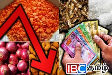 அத்தியாவசிய பொருட்களின் விலைக்குறைப்பு : வெளியான தகவல்