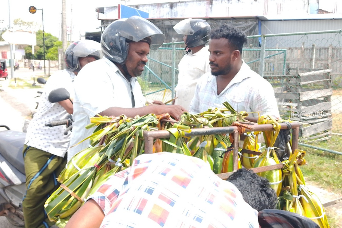 சூட்டை தணிக்கும் வெள்ளரிப்பழம்! விற்பனை வீதம் அமோகம் | Cucumber To Relieve Extreme Heat