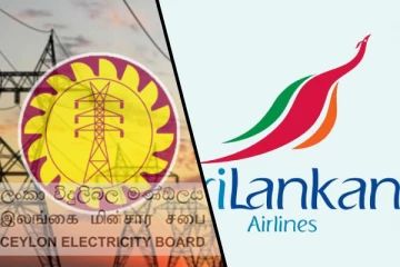 ஸ்ரீலங்கன் எயார்லைன்ஸ் மற்றும் இலங்கை மின்சார சபைக்கு திறைசேரியில் இருந்து ஒதுக்கப்படவுள்ள பணம்