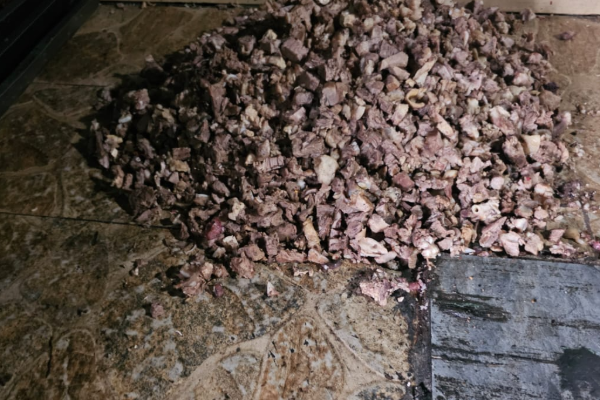 தமிழர் பகுதியில் சுகாதார சீர்கேட்டுடன் இயங்கிய இரு உணவகங்களுக்கு சீல் | Two Restaur Operating Unsanitary Conditions Sealed