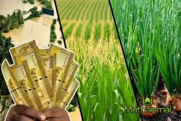 விவசாயிகளுக்கு வழங்கப்பட்ட பெரும் தொகை நிவாரணம்!