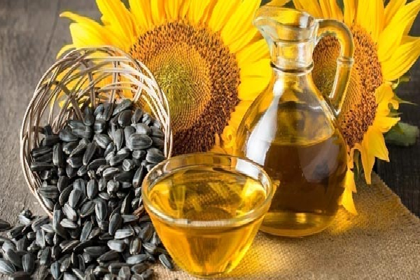 தேங்காய் எண்ணெயைவிட உங்கள் சருமத்தை அழகாக்கும் இன்னும் சில எண்ணெய்கள் | Seven Natural Oils For Skin Care In Tamil தேங்காய் எண்ணெயைவிட உங்கள் சருமத்தை அழகாக்கும் இன்னும் சில எண்ணெய்கள் | Seven Natural Oils For Skin Care In Tamil