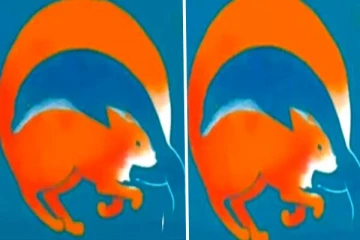 உங்க வலுவான குணத்தை கண்டுபிடிக்க ஒரு Test- படத்தில் தெரிவது என்ன?