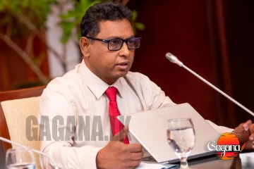 උපාලි පන්නිලගේ ඇමැති ධූරය බල රහිත කිරීමේ පෙත්සමට දින